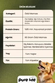 PURELİFE PLUS DİŞ DOSTU KÖPEK ATIŞTIRMALIKLARI 80GR - 2