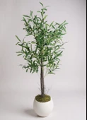 Yapay Zeytin Ağacı 130cm İki Gövdeli Beyaz Küre Saksıda Salex Doğal Gerçek Görünümlü Yapay Ağaç thumbnail 1