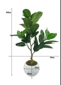 Yapay Ağacı Kauçuk Ağacı Beyaz Küre Saksıda 100*50cm thumbnail 7