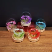 Led Işıklı Lale Cam Fanus 1 Adet Tg-53-vice/(1395) 3610 - 1