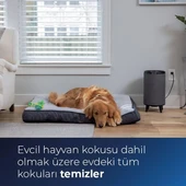 Bissell MyAir Hub  Hepa ve Karbon Filtreli Hava Temizleyici - Siyah thumbnail 5