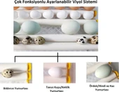 Kaz Yumurtası Uyumlu Kuluçka Makinesi thumbnail 2