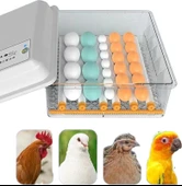 15 Tavuk Yumurta Kuluçka Makinesi thumbnail 3