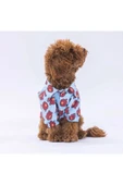 Pawstar Bear Kedi Köpek Gömleği - Kedi Köpek Kıyafeti - 2