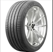 225/55R17 101W XL DS2 DELINTE - 1