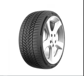 225/50R17 98V REIN.CARMILE WYNTER MILESTONE - 1
