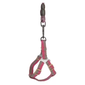 Köpek Göğüs Tasma Seti Dalga Desenli 2 cm*40-58 cm Mor-Pembe - 6