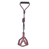 Köpek Göğüs Tasma Seti Dalga Desenli 2 cm*40-58 cm Mor-Pembe - 5