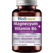 Wellcare Magnezyum + Vitamin B6 Takviye Edici Gıda 30 Tablet - 1