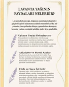 LaLoven Saf Lavanta İkilisi Lavanta Yağı ve Lavanta Hidrosolü - 6