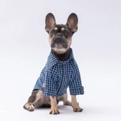 Pawstar Luss Mavi Kedi ve Küçük Irk Köpek Gömleği - 1