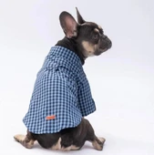 Pawstar Luss Mavi Kedi ve Küçük Irk Köpek Gömleği - 2