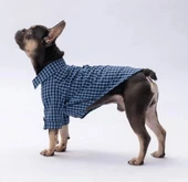 Pawstar Luss Mavi Kedi ve Küçük Irk Köpek Gömleği - 3