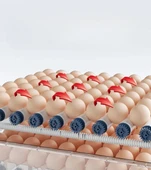 Tam Otomatik 120 Yumurta Kapasiteli Kuluçka Makinesi - Civciv Kaz Hindi Ördek İçin Wifi Kameralı Yedek Motorlu Set - 8