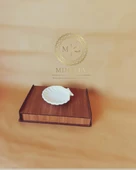 Deniz Kabuğu Obje - 2