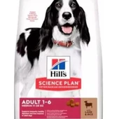 Hills Orta Irk Kuzu Etli Köpek Maması 14 KG - Sağlıklı Gelişim İçin Dengeli Beslenme - 2