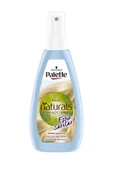 Palette Kalıcı Naturals Renk Açıcı Sprey 150 Ml - 1