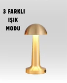 %100 Kademeli Ayarlanabilir Işık – USB Şarjlı Masa Lambası - 2