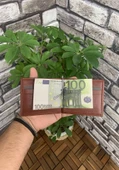 Guard Taba Klipsli Hakiki Deri Kartlık Erkek P838 thumbnail 3