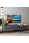 Meltem Çelik - BMdekor Tv Sehpası Muya Antrasit Safir Meşe thumbnail 5