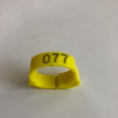 SARI Kaz Ayak Bilezikleri - 1