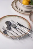 Soley | ZENIA | 6 kişilik 42 Parça Çatal Kaşık Bıçak Takımı - 1