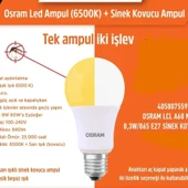 2 Adet Sivri ve Kara Sinek Kovucu, Çok Kaliteli 8 W. Led Ampul İki Fonksiyonlu Sinek Savar Led Ampul thumbnail 5