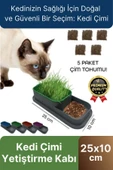 Premium Seri Hidroponik Topraksız Doğal 5 Adet Tohum Hediyeli Kedi Çimi Yetiştirme Kabı 25 x 10 cm - 1