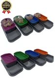 Premium Seri Hidroponik Topraksız Doğal 5 Adet Tohum Hediyeli Kedi Çimi Yetiştirme Kabı 25 x 10 cm - 2