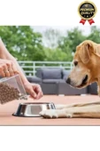 Premium Uzun Ömürlü Sağlam Kaymaz Kauçuk Taban Paslanmaz Çelik Metal Kedi Köpek Mama Su Kabı 26 Cm - 4