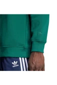 adidas Erkek  Yeşil  Sweatshirt GRAPHIC HALF Z JX8171 - 6