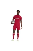 adidas Erkek  Kırmızı  Şort LFC H SHO (Liverpool) JV6425 thumbnail 5