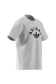 adidas Erkek  Beyaz  T-shirt GRAPHIC REG SS JV7752 - 8