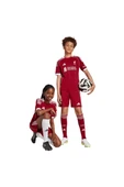 adidas Unisex Çocuk  Şort LFC H SHO Y (Liverpool) JV6441 thumbnail 8