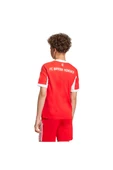adidas Unisex Çocuk Forma FCB H JSY Y (Bayern Munich) JN8525 - 4