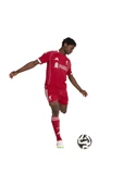 adidas Erkek  Kırmızı  Şort LFC H SHO (Liverpool) JV6425 thumbnail 4