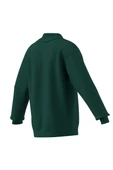 adidas Erkek  Yeşil  Sweatshirt GRAPHIC HALF Z JX8171 - 12