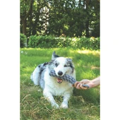 M-Pets Örgü Köpek Oyuncağı Gri 34 Cm thumbnail 2