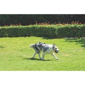 M-Pets Coto Örgü Top Köpek Oyuncağı Gri 9,5 Cm thumbnail 2