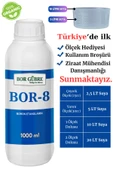 Bor 8 Sıvı Gübre 1000 Ml-köklenme Ve Direnç Artışı Oluşturur. Ürün Kalitesi Ve Verimini Arttırır. - 1