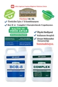 Bor Gübre Erik İçin Gübre (Complex-5lt ve Bor-8 5lt) Organik Sıvı Gübre Ürün Sayısı-Kalite ve Verim Artar. - 1