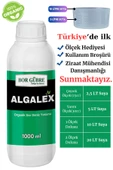 GÜBRE Sıvı Deniz Yosunu İçeren Organik Sıvı Gübre-Algalex-1000ML(Fabrikadan Halka Üretim Zinciri) - 1