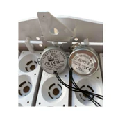 35 Tavuk Yumurtası Viyolü 1/240 Rpm Motor Dahil thumbnail 2