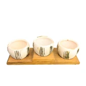 Bitki Tasarımı Ev dekorasyon Aksesuar Bej Çizgili EskitmeToprak Saksı Üçlü Ahşap Tabanlı Çiçeklik Saksı Saksılık thumbnail 3