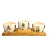 Bitki Tasarımı Ev dekorasyon Aksesuar Bej Çizgili EskitmeToprak Saksı Üçlü Ahşap Tabanlı Çiçeklik Saksı Saksılık thumbnail 2