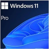 Microsoft Oem Windows Pro 11 64 Bit Türkçe FQC-10556  Kutusuz İşletim Sistemi thumbnail 2