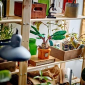 Nessiworld  LEGO Harry Potter Adamotu 76433 thumbnail 5