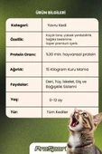 PROSPORT KİTTEN YAVRU KEDİ MAMASI 15KG - 2