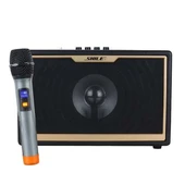 Shile SD-1 El Mikrofonlu Kumandalı USB/SD/BT Portatif Hoparlör - 1