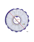 Dyson Uyumlu DC 42 Süpürge Hepa Filtresi thumbnail 2